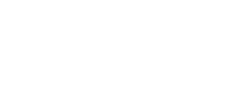 SVP Solutions